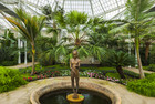 Schloss & Park Pillnitz - Palmenhaus