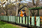 Parkeisenbahn - Parkolino im Zug